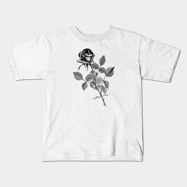 Black Rose Flower Kids T-Shirt by Biophilia